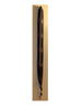 ShoXfactor Lanyard